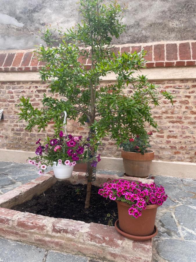 Apartament Residenza Nikol Casale Monferrato Zewnętrze zdjęcie
